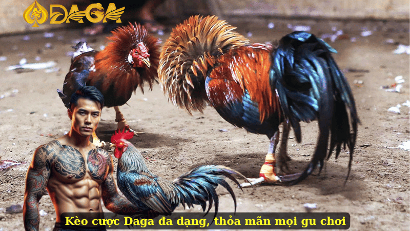 Kèo cược Daga đa dạng, thỏa mãn mọi gu chơi